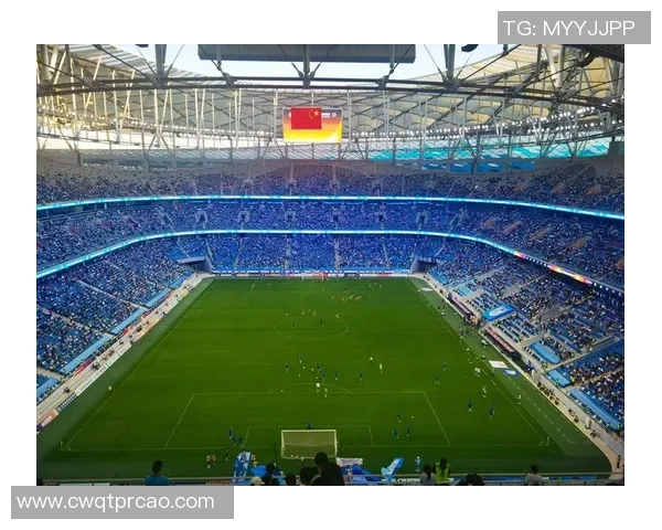 足球胡li的魅力与挑战探索球场背后的故事与激情